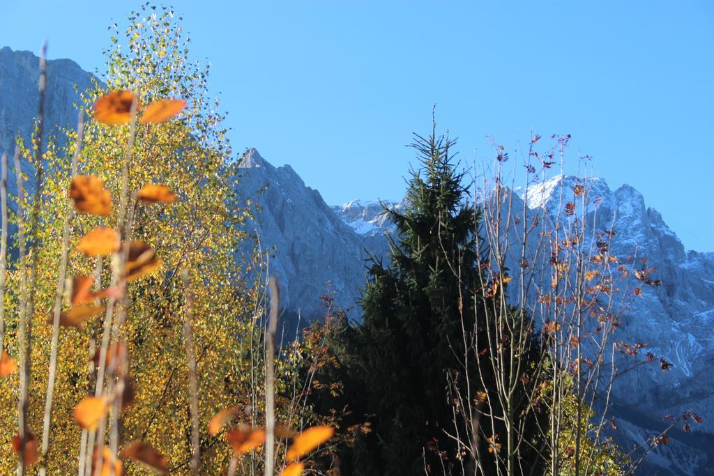 Das Schoenanger Ferienwohnungen Grainau Luaran gambar